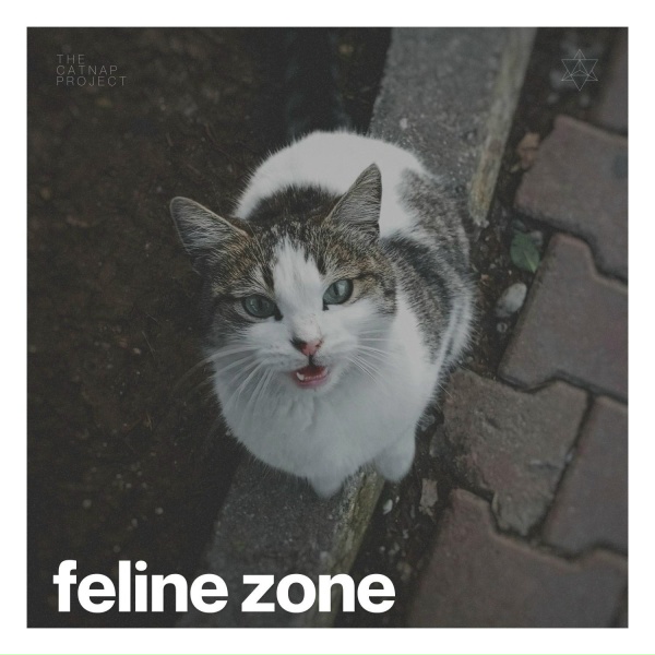 Soothing Cat Music - Moon's Reflection on Still Waters