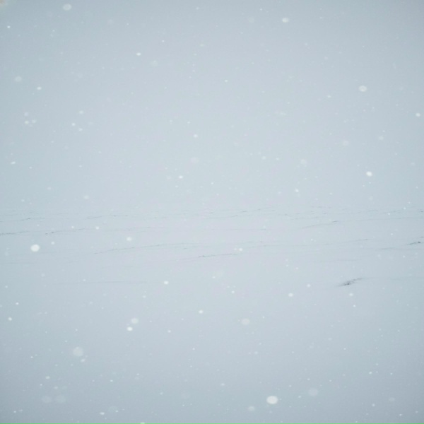proxy_voice - alone