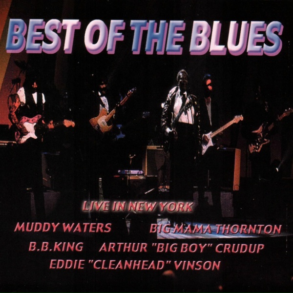 Muddy Waters - Got My Mojo Workin'