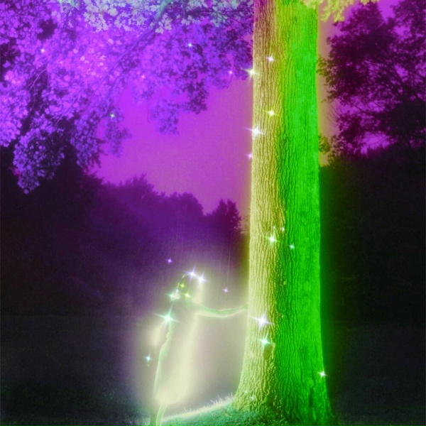 Fortxna - Aglow 2