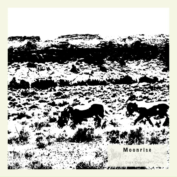 Evan Jenkins, Anthony Dominic, Dominic Marsh, Pat West - Dead Fire