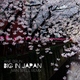 Ane Brun - Big In Japan (Ivan Spell Radio Mix)