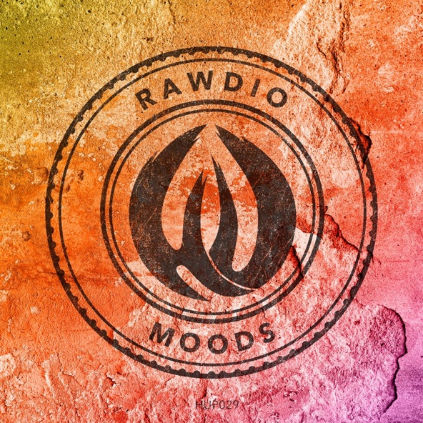Rawdio - In The Mood