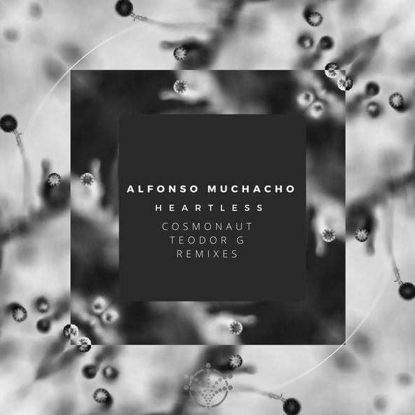 Alfonso Muchacho - Final Wisdom
