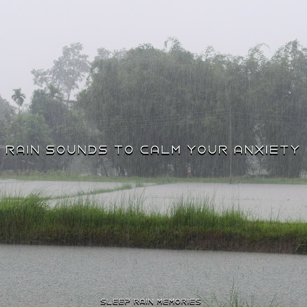 Sleep Rain Memories - Gentle Rainfall