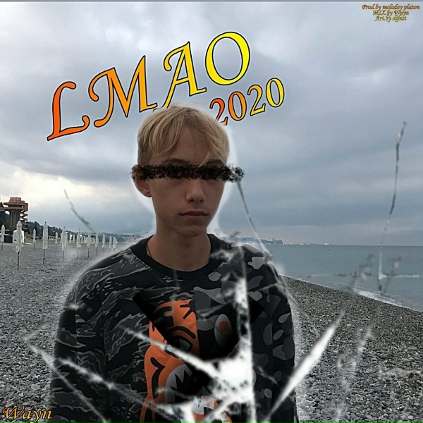 wayn - Lmao2020