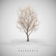 Unprocessed - Abandoned