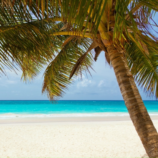 Zen Meditate, Deep Sleep Music Delta Binaural 432 Hz, Asian Zen Meditation - Loving Atmosphere