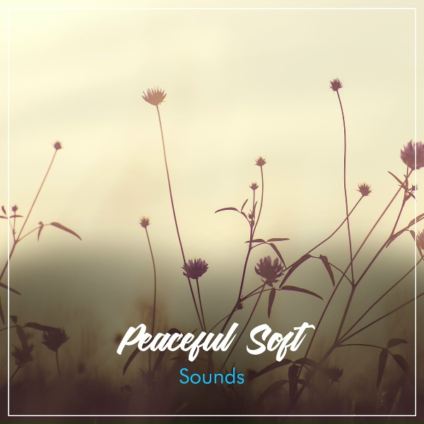 Dormir Profundamente, Mantra para Dormir, Musica para Meditar - Healing Binaural Beats