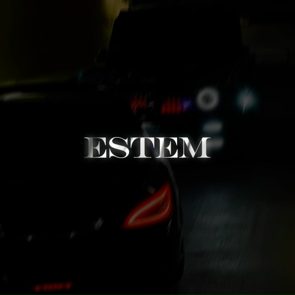 Ambassador - Estem