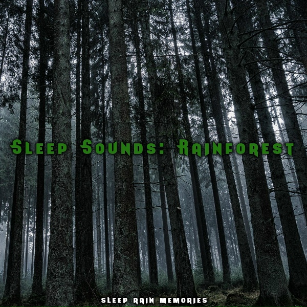 Sleep Rain Memories - Rainhard Fendrich Starkregen