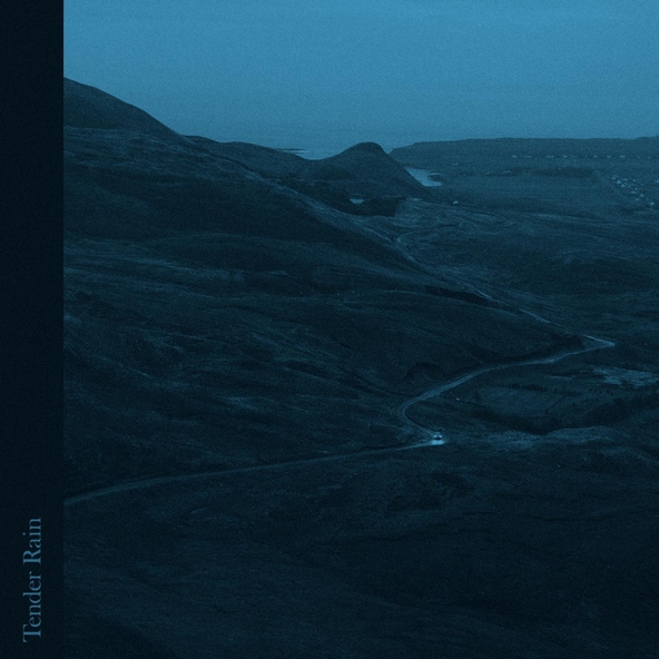 David A. Molina - Tender Rain