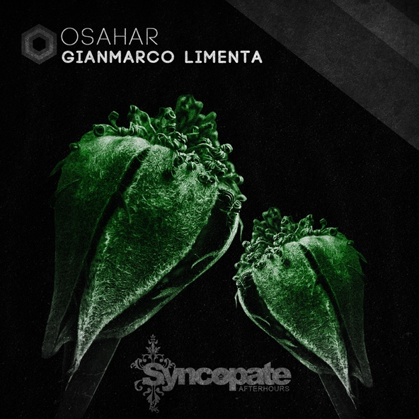 Gianmarco Limenta