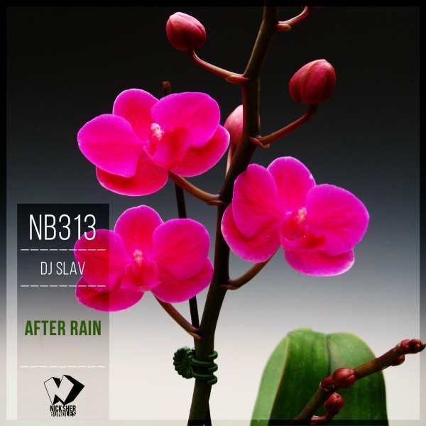 Dj Slav - After Rain
