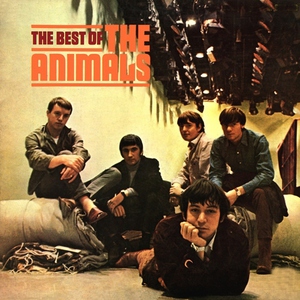 Animals - I'm Mad