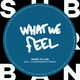 Henrik Villard - What We Feel (Original Mix) (Original Mix)