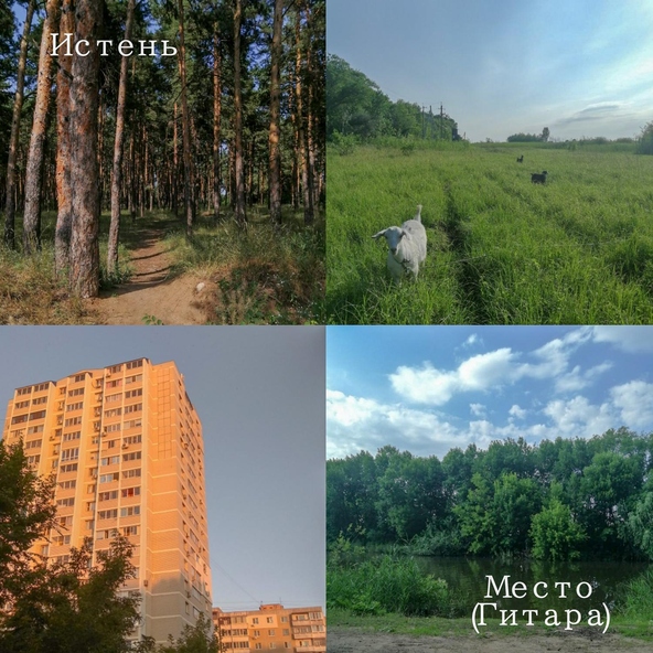 Истень