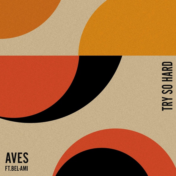 Aves feat. Bel-Ami - Gratitude