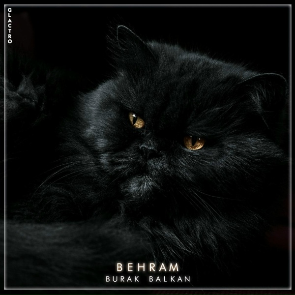 Burak Balkan - Behram