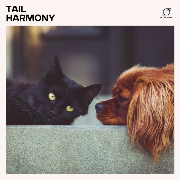 The Pet Band, Dog Music Therapy, Pet Prime Therapy, Sleepy Puppy - Sleep Woof