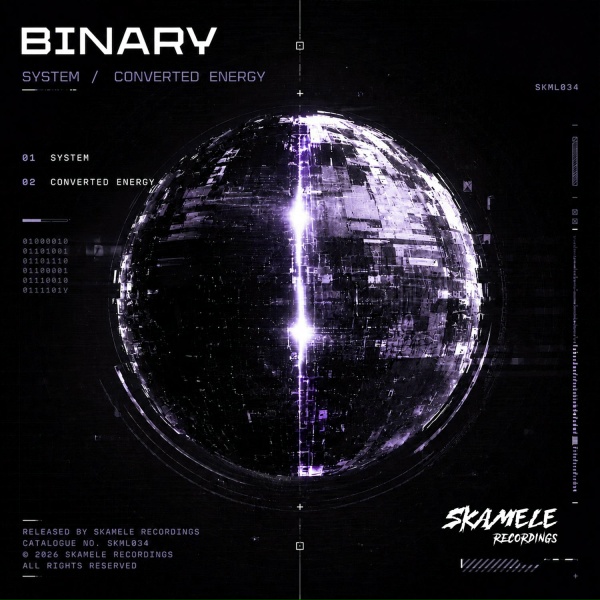 Binary - System
