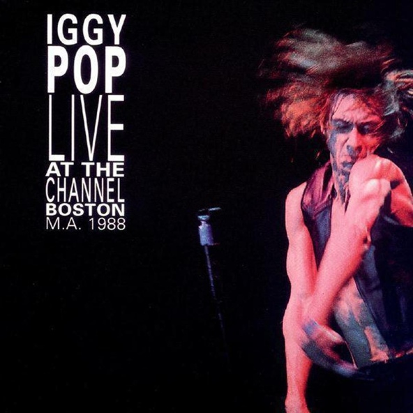 Iggy Pop - Search And Destroy