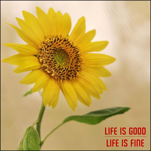 Michael Fuller - In a Very Good Mood