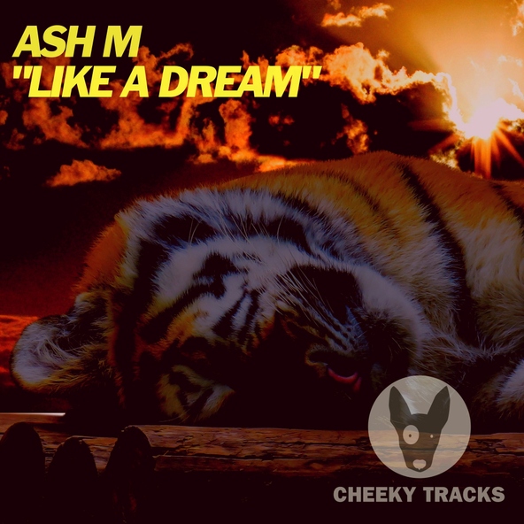 Ash M - Like A Dream