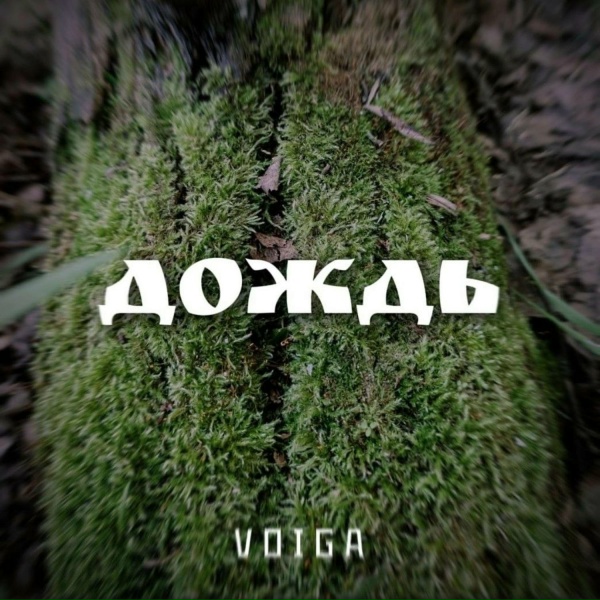 VOIGA