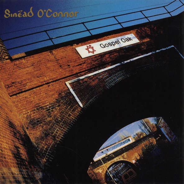 Sin&eacute;ad O'Connor - This Is a Rebel Song