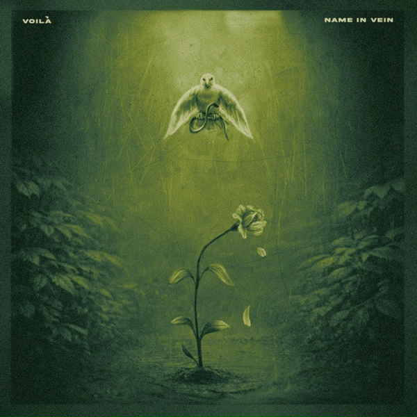 VOIL&Agrave; - Name in Vein