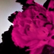 John Legend - All of Me (Live) (Live)