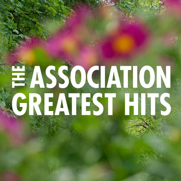 The Association - Windy