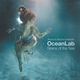 Above & Beyond feat. OceanLab - I Am What I Am