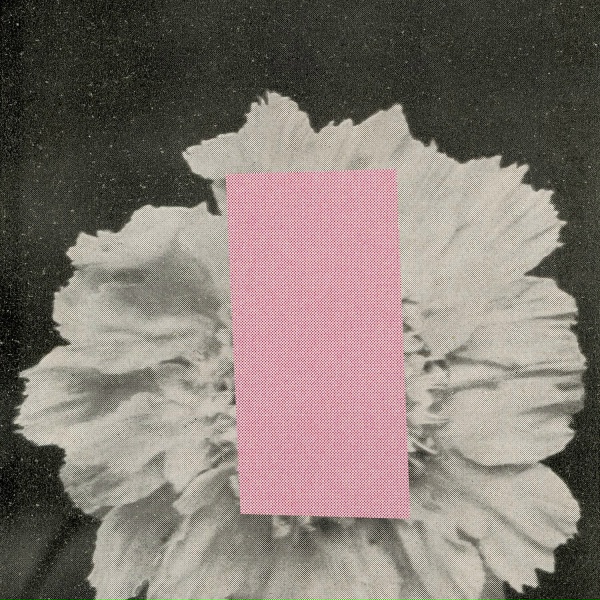 Daigo Hanada - Reiu