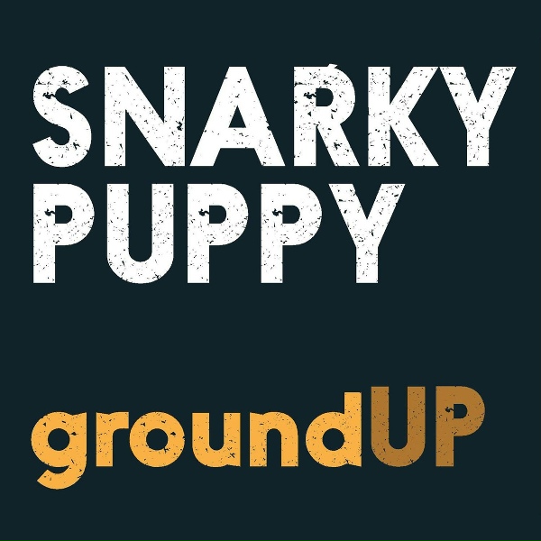 Snarky Puppy - Thing of Gold