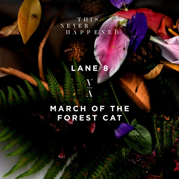 Lane 8 - March of the Forest Cat