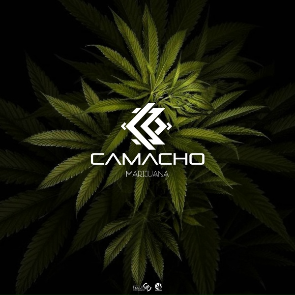 Henrique Camacho