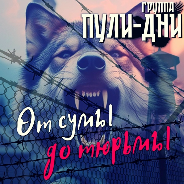 Группа Пули-Дни - От сумы до тюрьмы