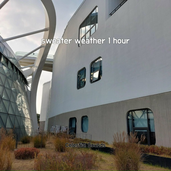 Celestial Sounds - sweater weather 1 hour