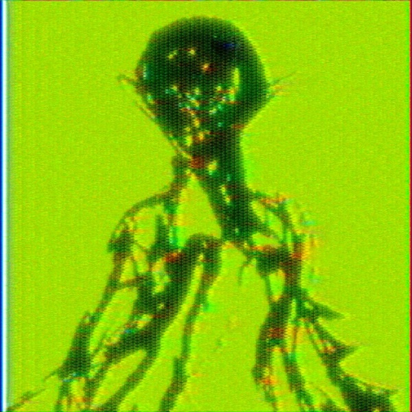 2003 - boys don't cry