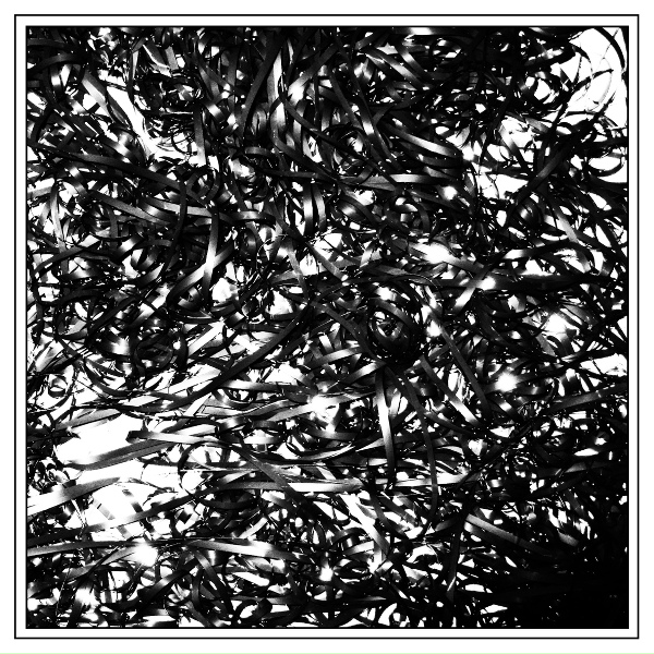 clipping. feat. jalene goodwin - bullshit (feat. jalene goodwin)