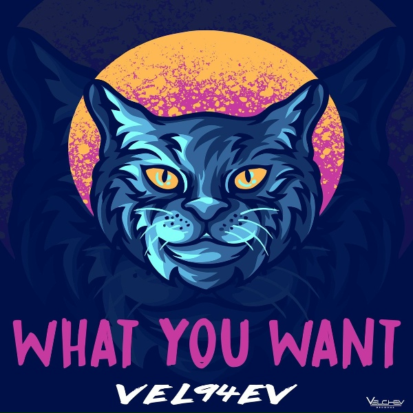 VEL94EV - What You Want