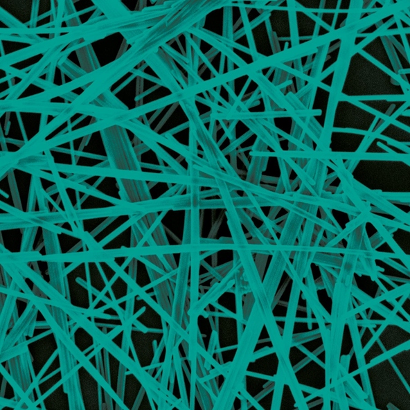 Data 3 - Photon