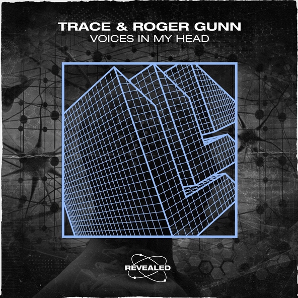 Trace, Roger Gunn, Revealed Recordings - Voices In My Head