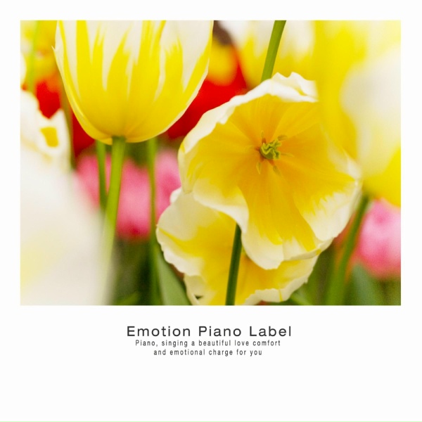 Flower Garden - Fresh Air