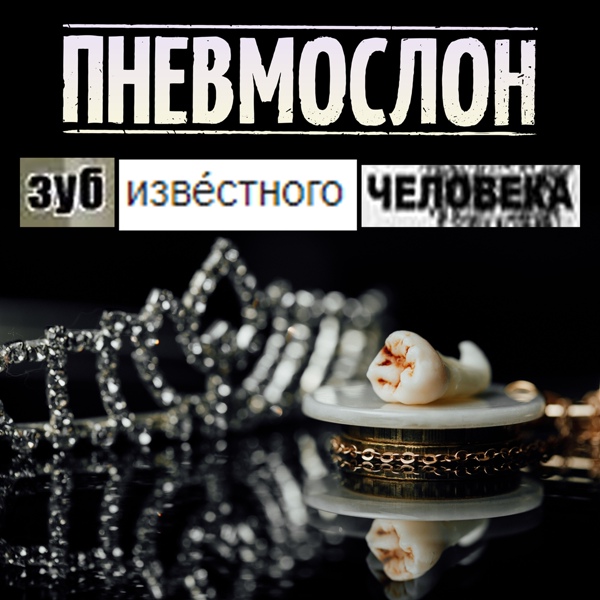 Пневмослон - Питер-Воронеж